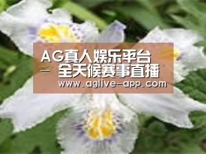 产品名称二