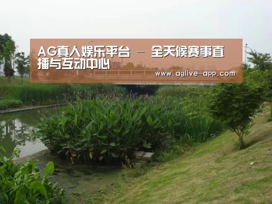 案例展示四