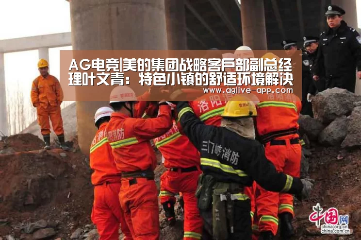 AG电竞|美的集团战略客户部副总经理叶文青:特色小镇的舒适环境解决方式(图2) AG官方