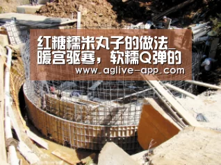 红糖糯米丸子的做法_暖宫驱寒,软糯Q弹的红糖糯米丸子_红糖糯米丸子怎么做_白茶home的菜谱【AG官方】(图1) AG电竞