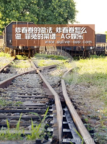 炸春卷的做法_炸春卷怎么做_菲兔的菜谱-AG娱乐(图2) AG娱乐